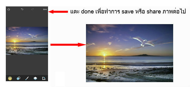 seagull7-1