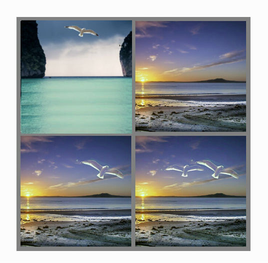 seagull8