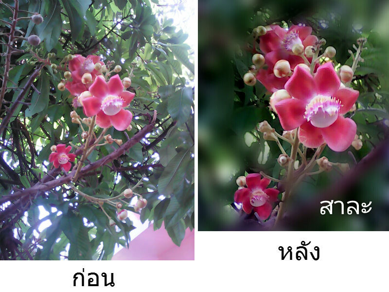 ก่อนหลัง