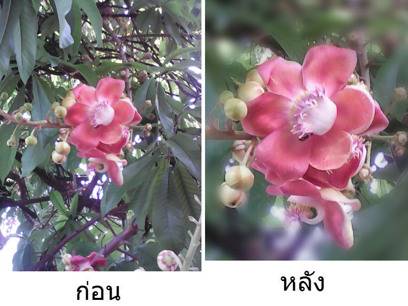 ก่อนหลัง3