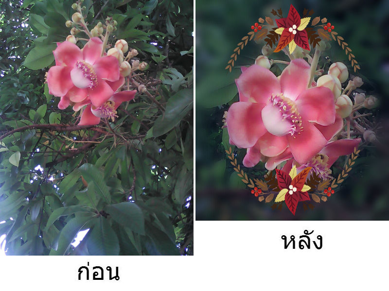 ก่อนหลัง4