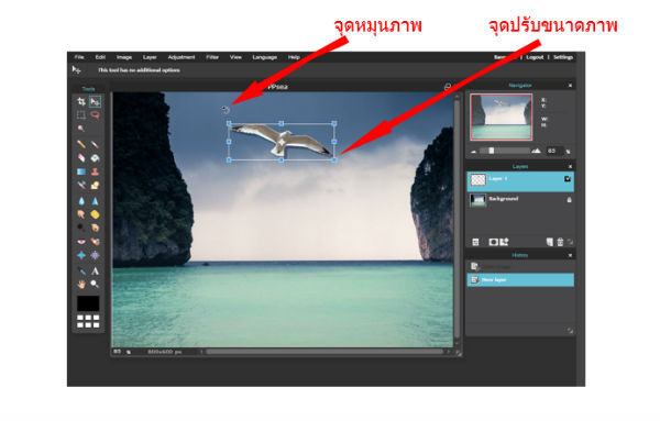 pixadjust